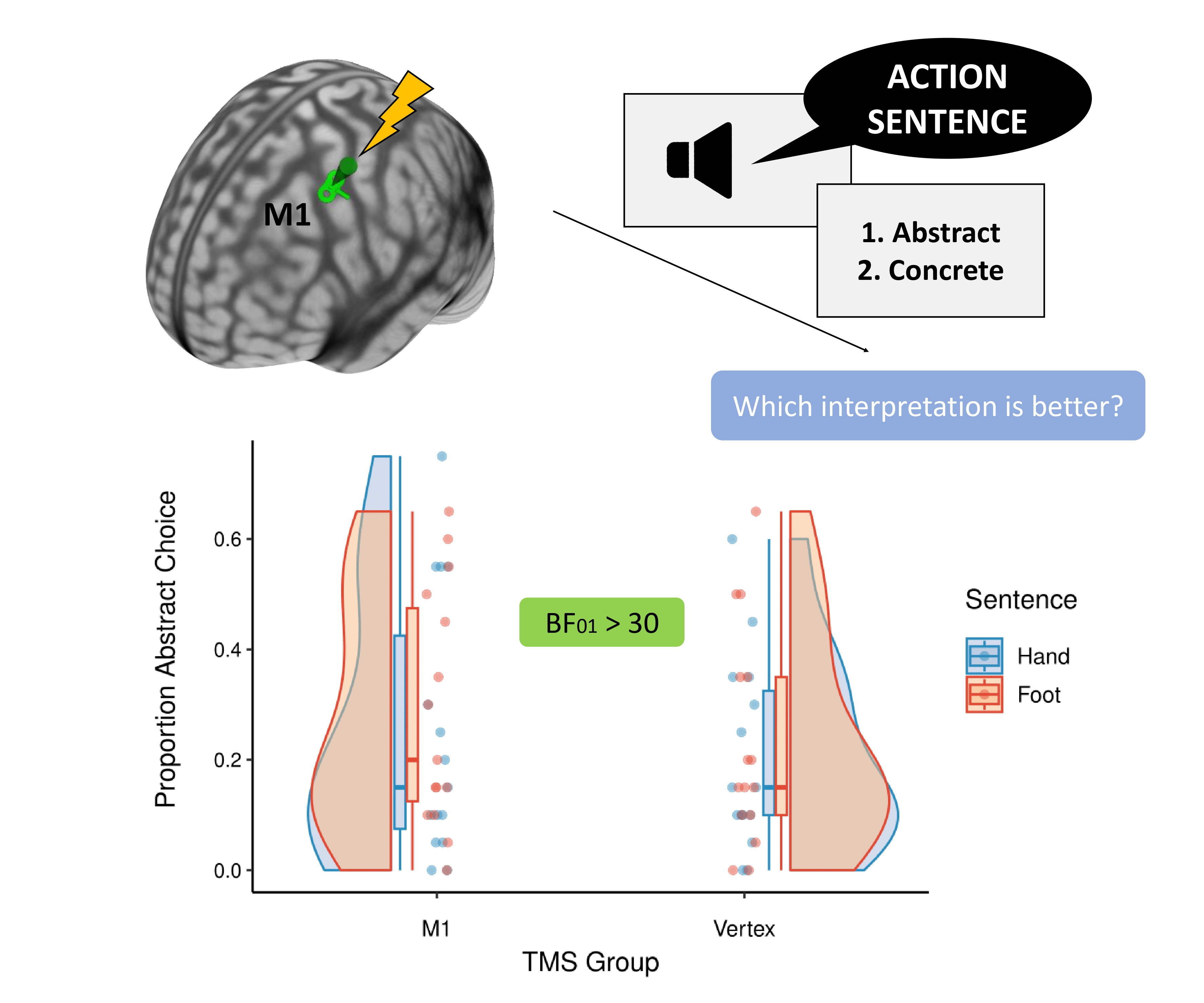 Stimulated brain and graphs of stimulus results