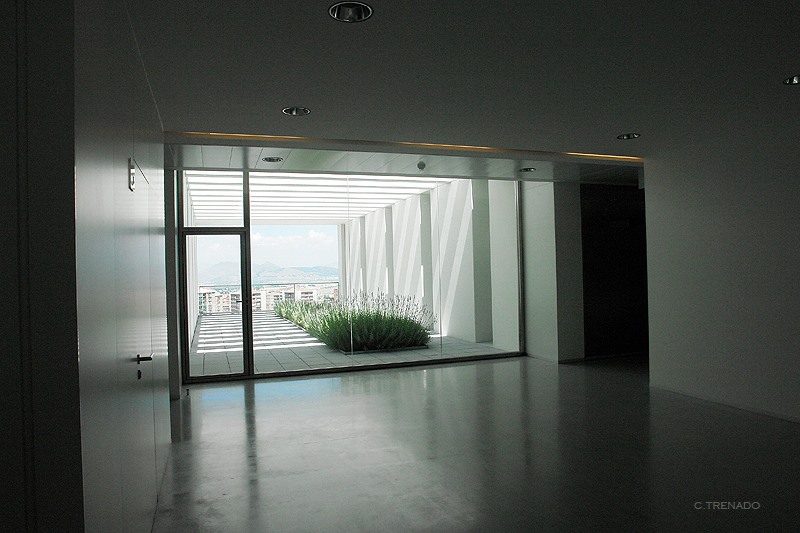 Interior del CIMCYC donde puede observarse una ventana que da a una terraza con lavandas