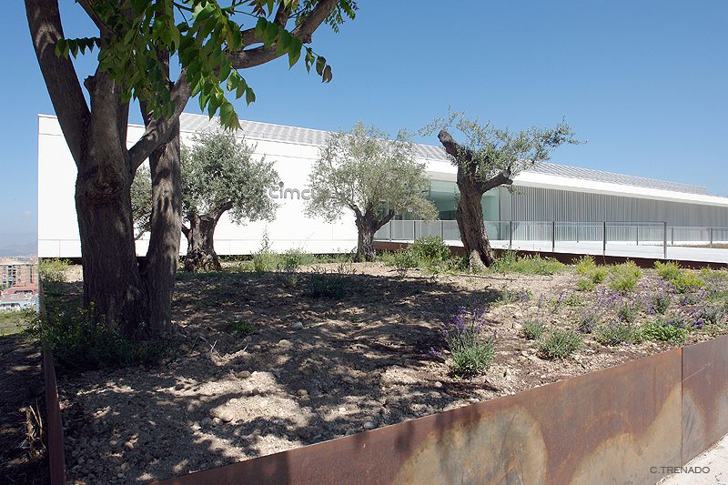 Exterior del CIMCYC donde pueden observarse plantas y varios árboles