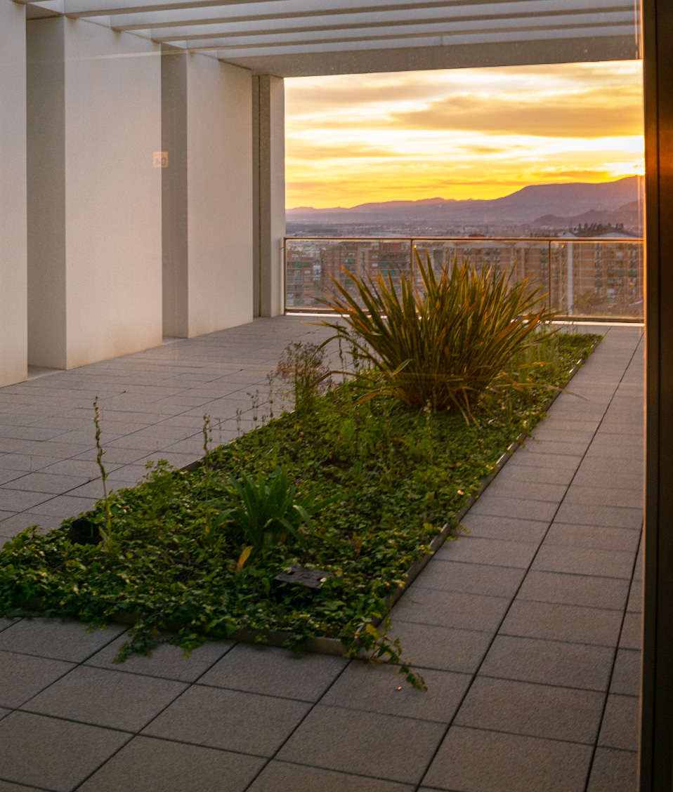 Terraza del centro CIMCYC