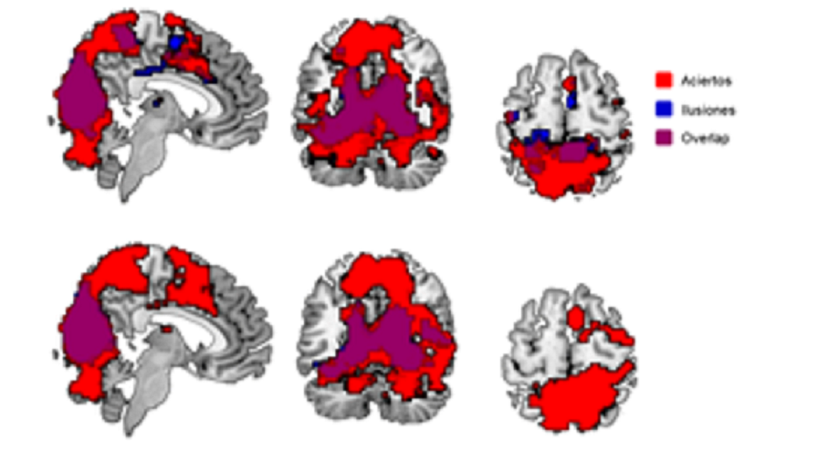 Rodríguez-San Esteban, P., Chica, A. B., & Paz-Alonso, P. M. (2022). Functional characterization of correct and incorrect feature integration. Cerebral Cortex. https://doi.org/10.1093/cercor/bhac147
