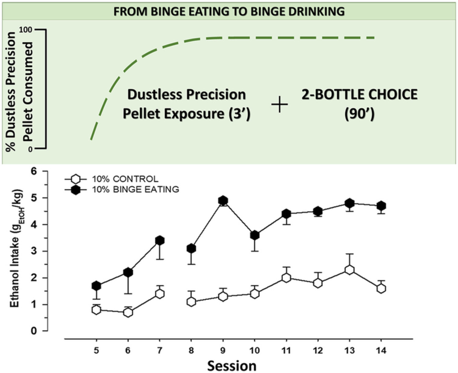 Del Binge Eating al Binge drinking: Una nueva propuesta metodológica para su estudio
