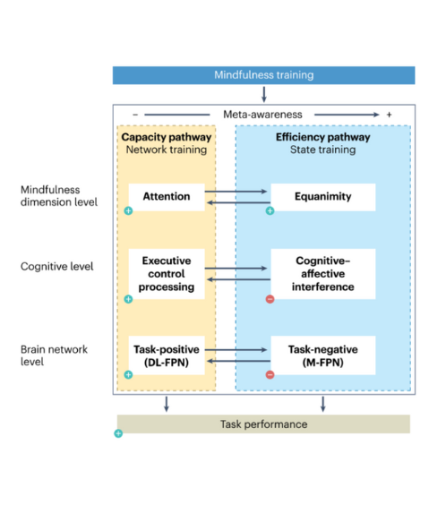 Mindfulness training map