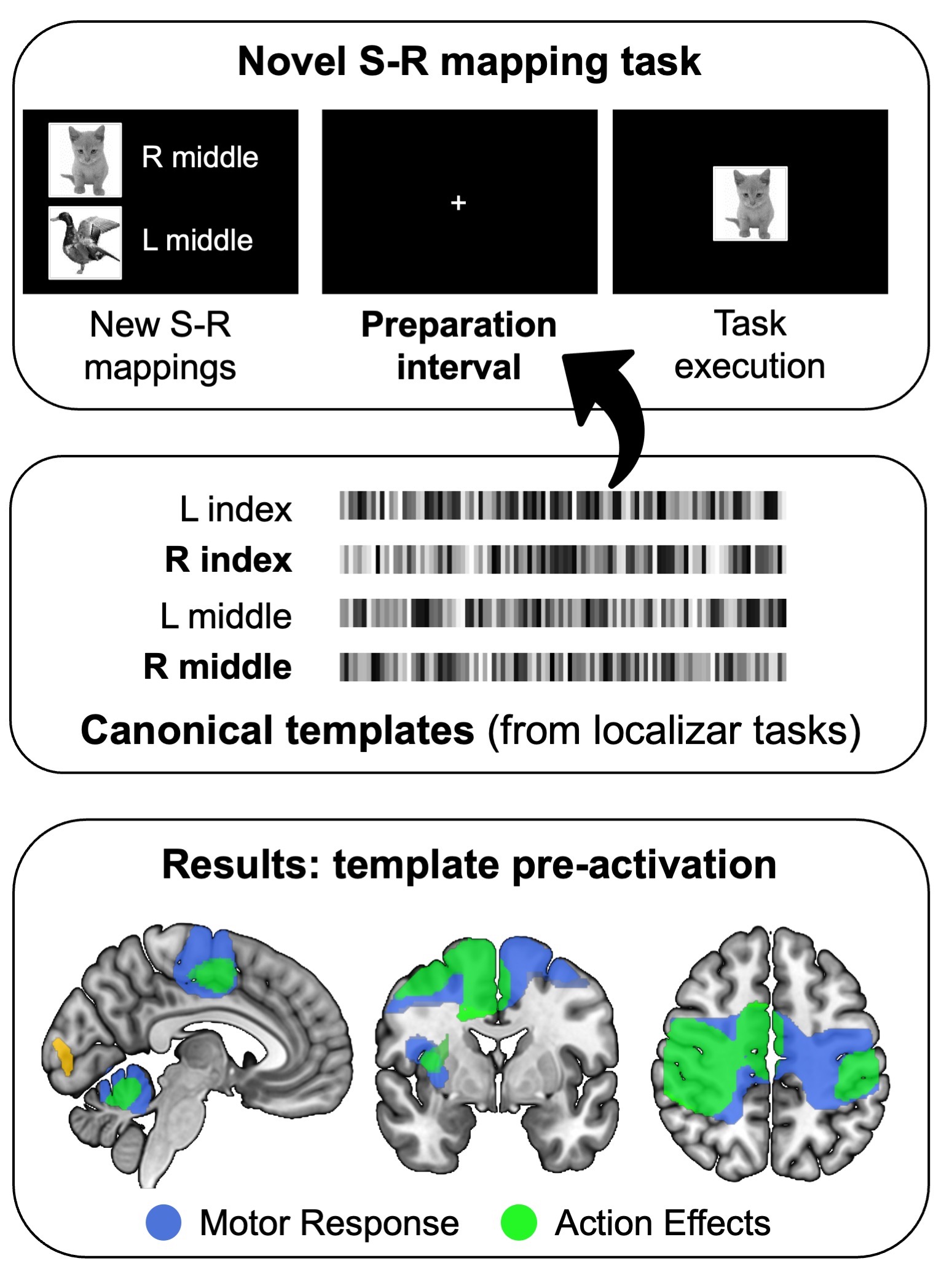 Imagen estudio tareas nuevas