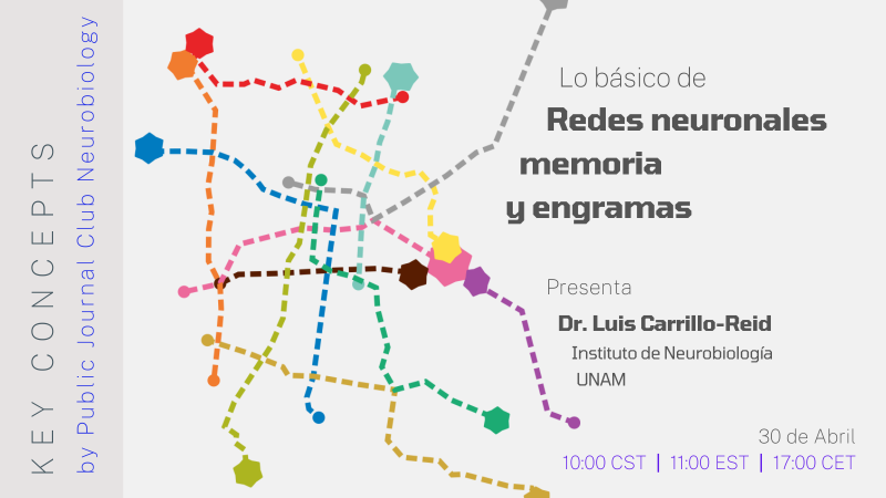 Redes neuronales memoria y engramas cartel de Redes neuronales memoria y engramas
