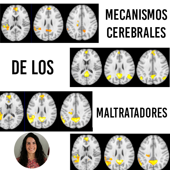 The abusives men’s brain mechanisms