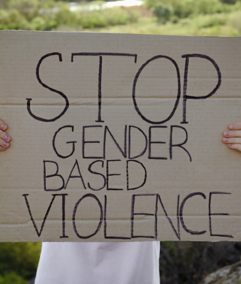 evaluacion programa regenerar violencia de genero cartel stop gender violence